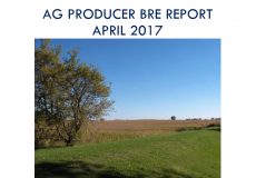2017 Ag Producer BRE Report