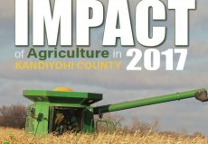 IMPACT of Agriculture in Kandiyohi County 2017