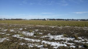 Erica Dischino / Tribune The city of Willmar officially completed a purchase agreement with a development company to use the land between Trott Avenue and Willmar Avenue off County Road 5 in Willmar.