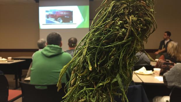 Local interest in growing and processing hemp: EDC committee will conduct feasibility study for market options