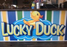 Lucky Duck lands in the city on the pond
