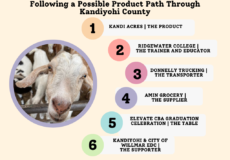 Summer 2022 Newsletter Article: Following a Product Path | Full Article Summer 2022 Newsletter Article: Following a Product Path | Full Article