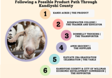 Summer 2022 Newsletter Article: Following a Product Path | Full Article