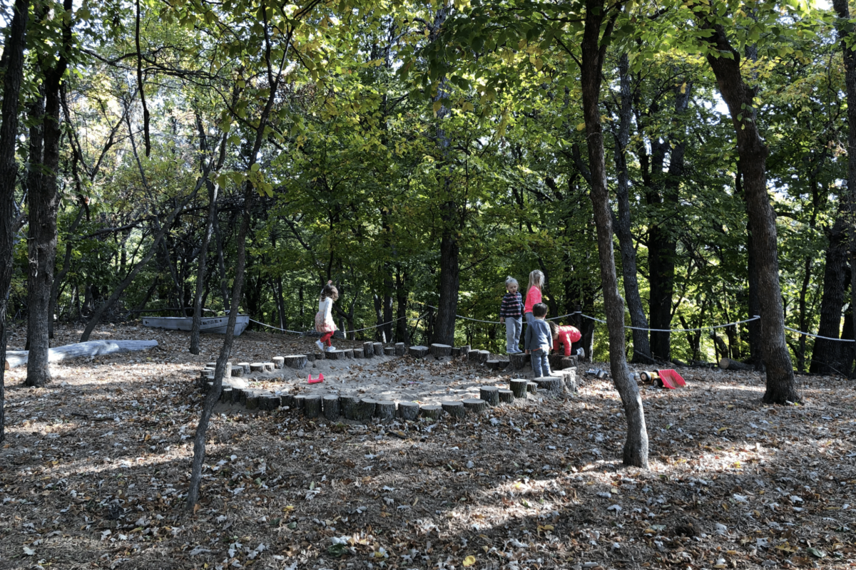 Preschoolers play outdoors in a nature playground