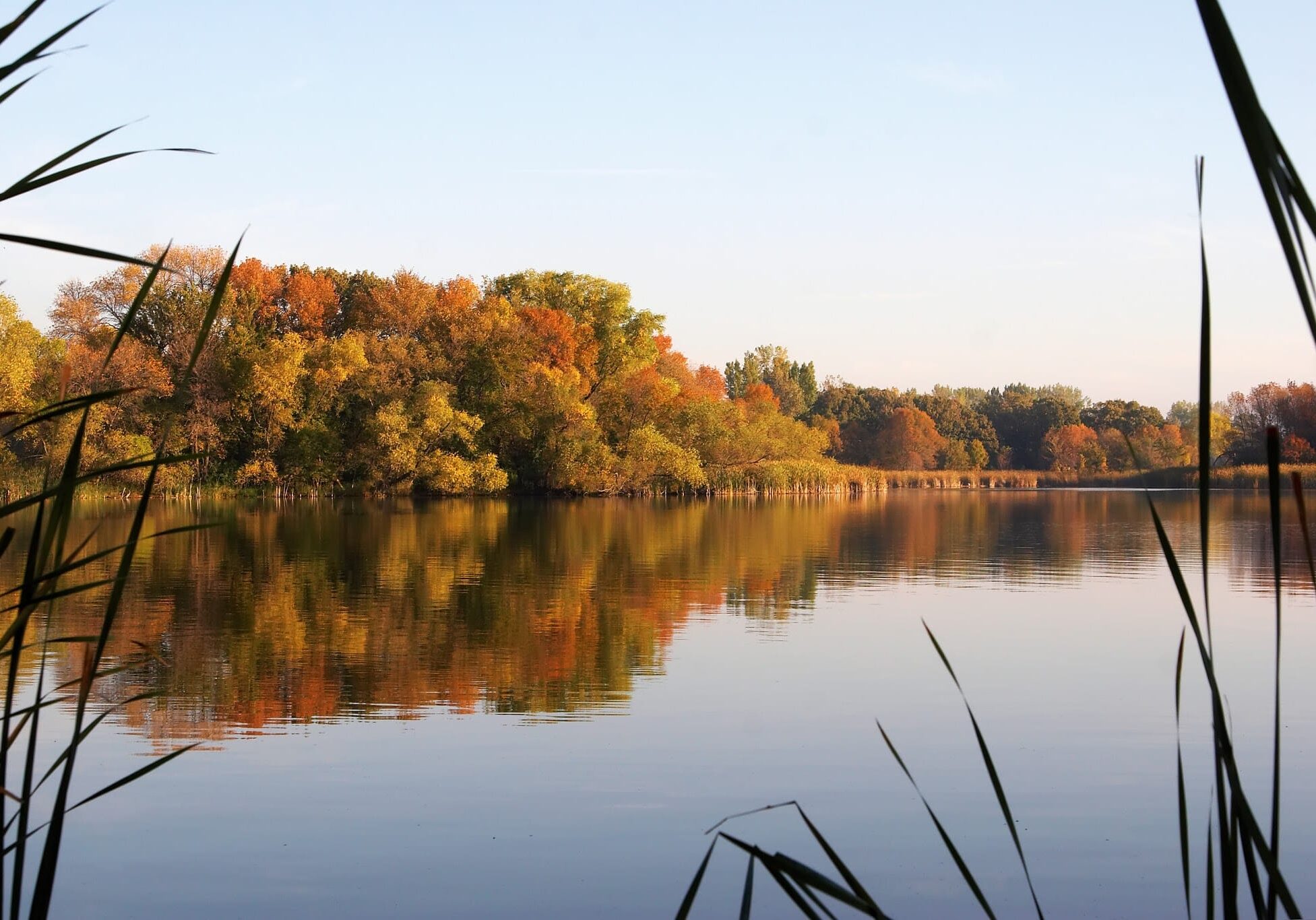 lake fall trees